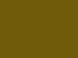 Allegheny Color Chip